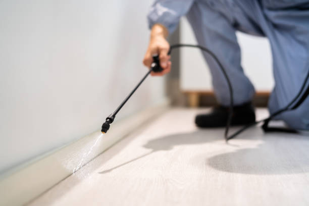 Licensed Termite Control service in Hillsborough, NC - Nex Pest Control