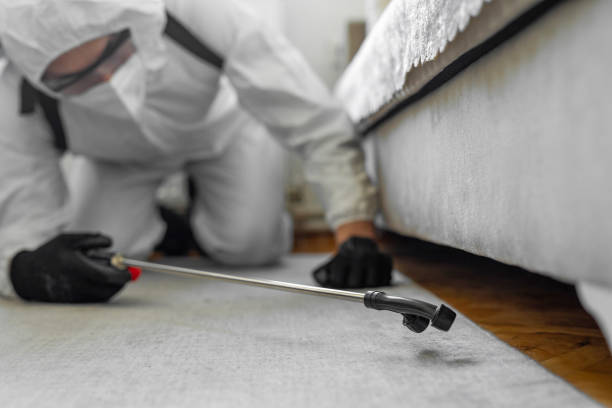 Professional Termite Control technician working in Hillsborough, NC