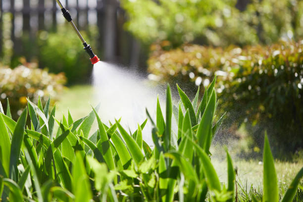 24/7 Emergency Termite Control experts in Hillsborough, NC