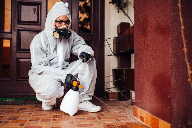 Reliable Termite Control contractor in Hillsborough, NC by Nex Pest Control