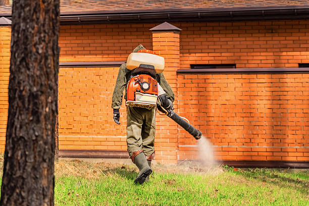 Trusted Rodent Control service in Hillsborough, NC - Nex Pest Control